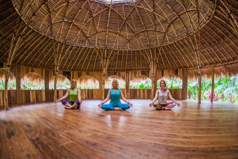 Top Wellness Retreat Plans: 2026 High-Acuity Health Guide